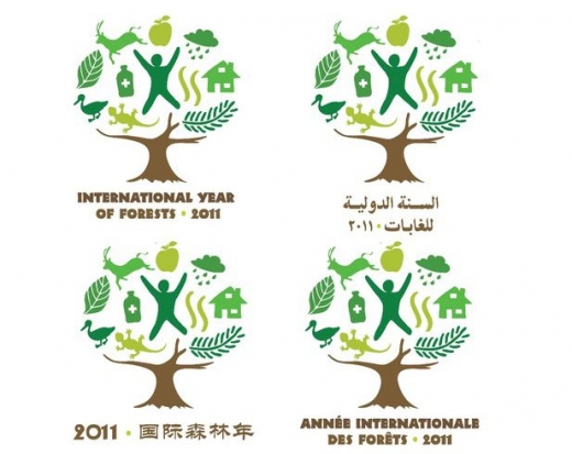 2011 - Année internationale des forêts - large