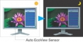 Eizo - écran - FlexScan EV2411W - EcoView Sense