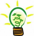 Idee_GreenIT_186px.jpg