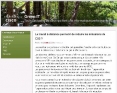 Cisco - blog Green IT - capture d'écran