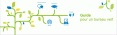 Guide pour un bureau vert de WebEx