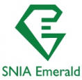 Logo - SNIA - Emerald - benchmark d'efficacité énergétique des systèmes de stockage