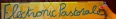 Logo - event - Electronic Pastorale