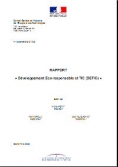 Gouvernement - rapport développement éco-responsable et TIC (DETIC)