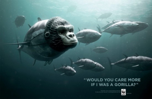 WWF - Appel des gorilles