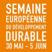 SEDD 2017 - logo - orange