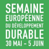Logo SEDD 2017 vert