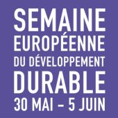 SEDD 2017 - logo - violet