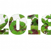 2018 - Happy new year