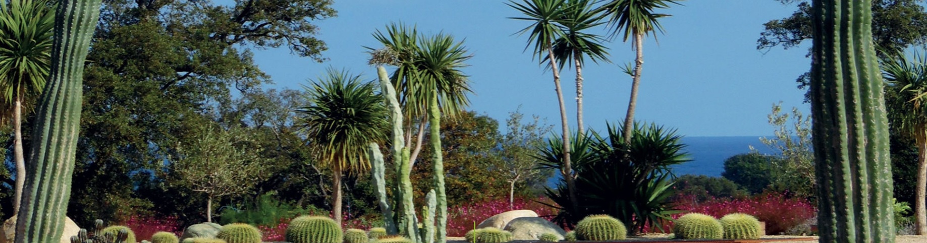 Parc Galea - photo du parc